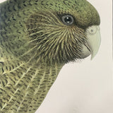 Hushed Range Bird Notebook / Kakapo / Blush