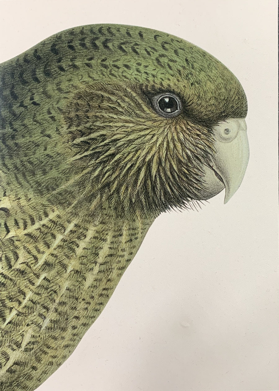 Hushed Range Bird Notebook / Kakapo / Blush