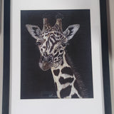 Giraffe Framed A4