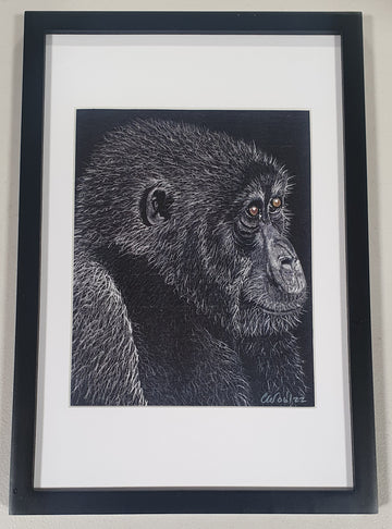 Gorilla Framed A4