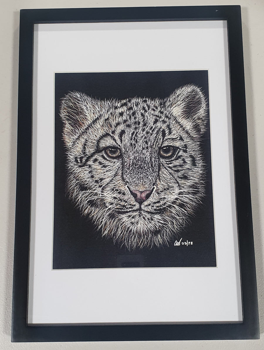Snow Leopard (front on) Framed A4