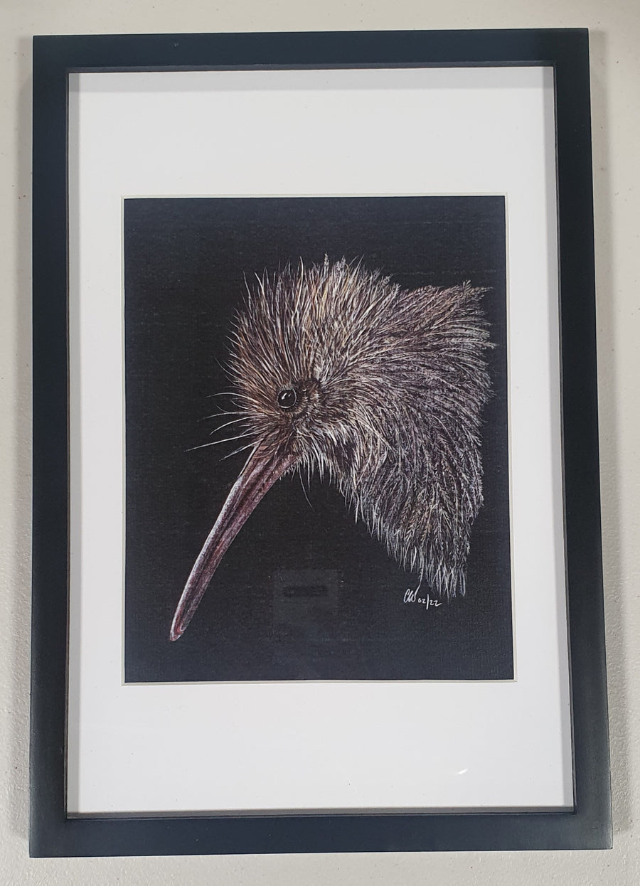 Kiwi Framed A4 Print