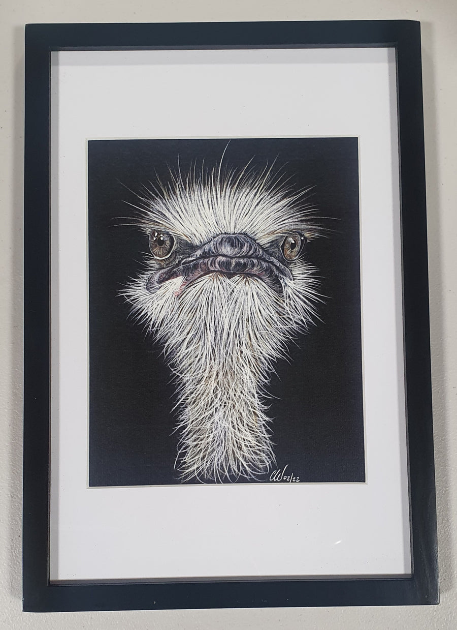 Ostrich Framed A4