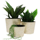 20X25CM FISHY CAPIZ SHELL PLANTER - NATURAL