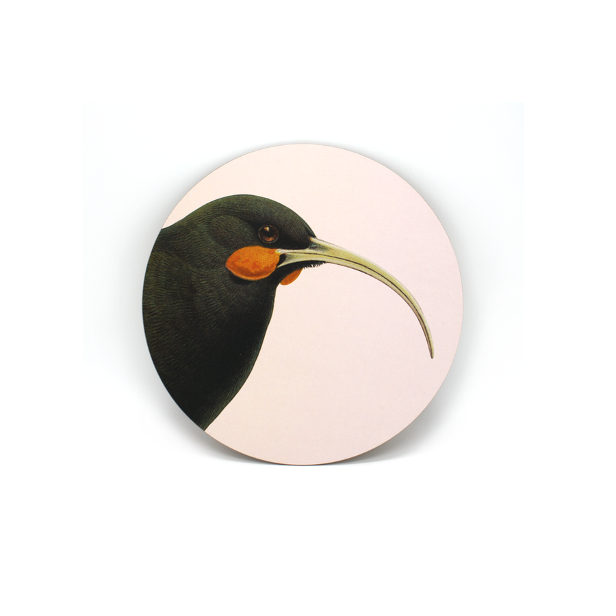 Hushed Bird - Huia Blush - Coaster