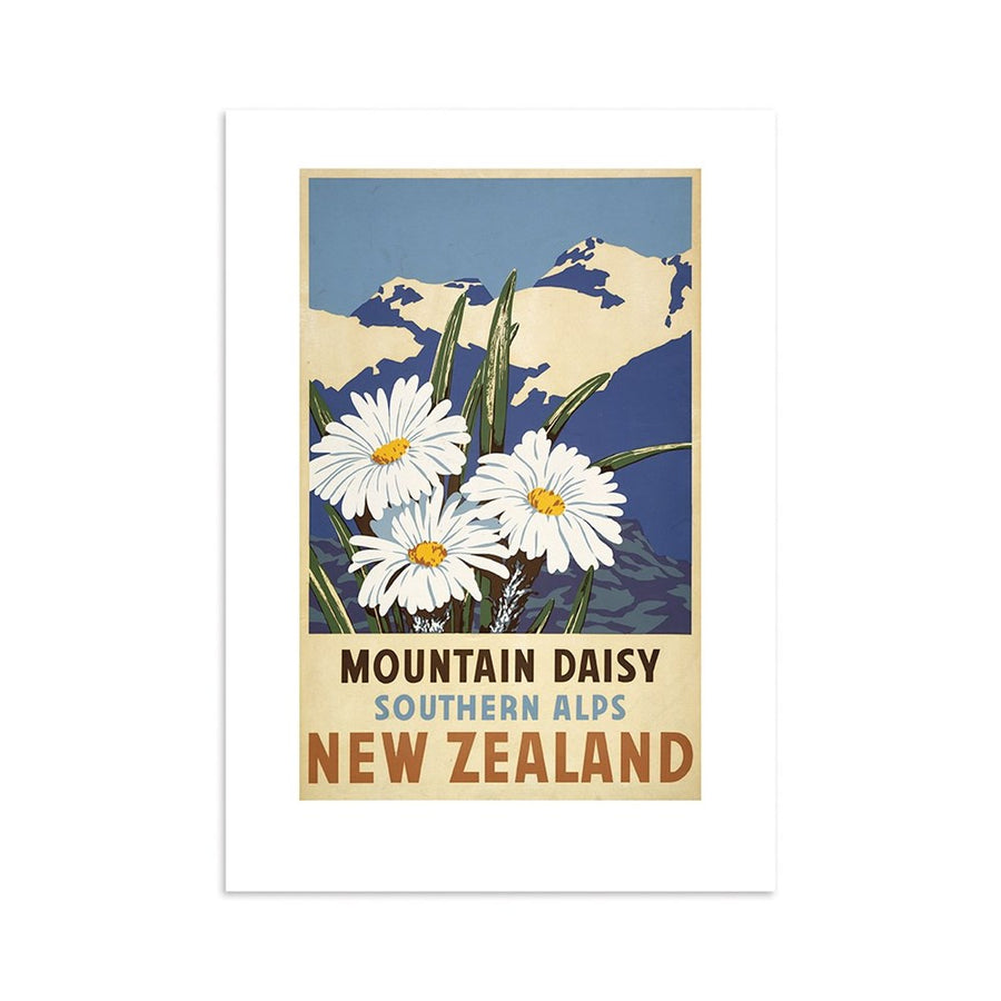 Southern Alps Daisy Tourist - A4 Print