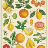 Citrus 1000pce - Vintage Puzzle