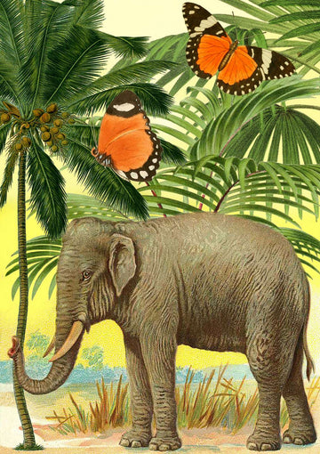 Elephant - Card