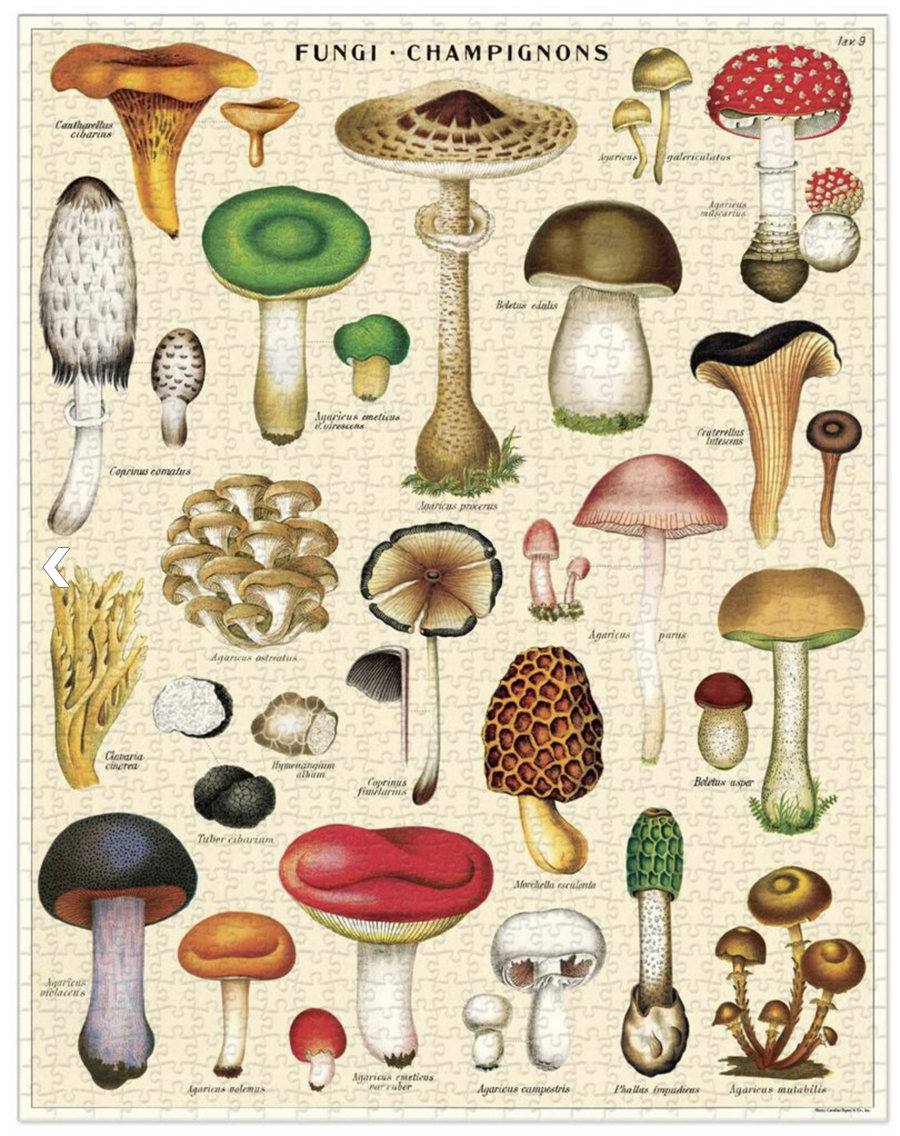 Mushrooms 1000 Pce Vintage Puzzle