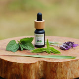 Buzz Off' Essential Oil Insect Repellant