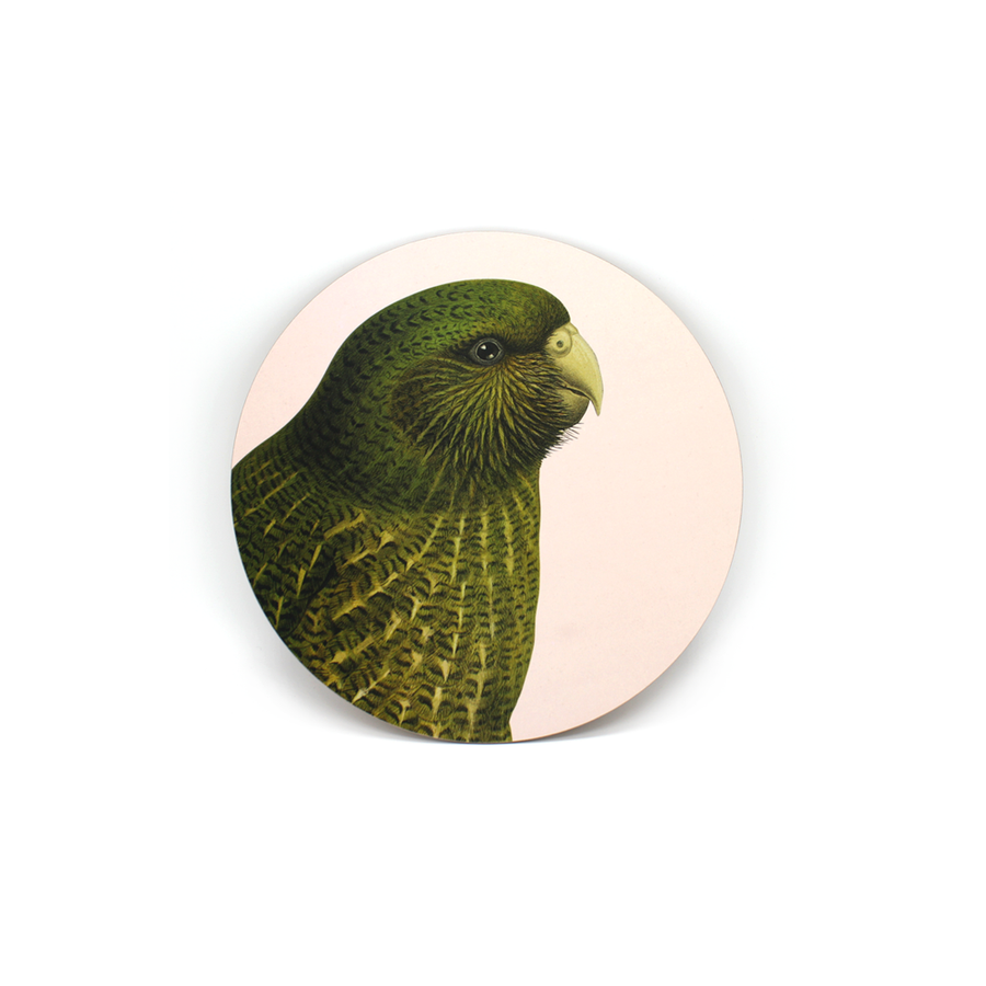Hushed Bird - Kakapo Blush - Coaster