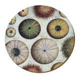 Kina Placemat