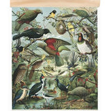 Native Birds Mini Wall Chart