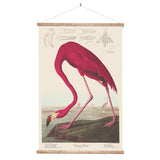 Flamingo Wall Chart Wall Chart