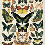 Butterflies 1000pce Vintage Puzzle