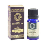 Essential Oil - Eucalyptus