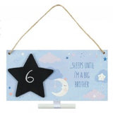 Big Brother Countdown Plaque