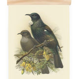 Buller's Tui Mini Wall Chart