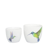 Hummingbirds Plant Pots