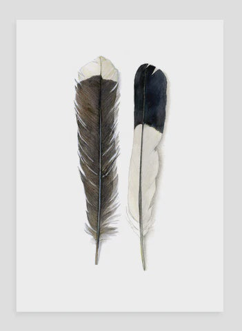 Huia Magpie Feather - Card
