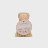 Dish Brush