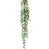String Of Tears