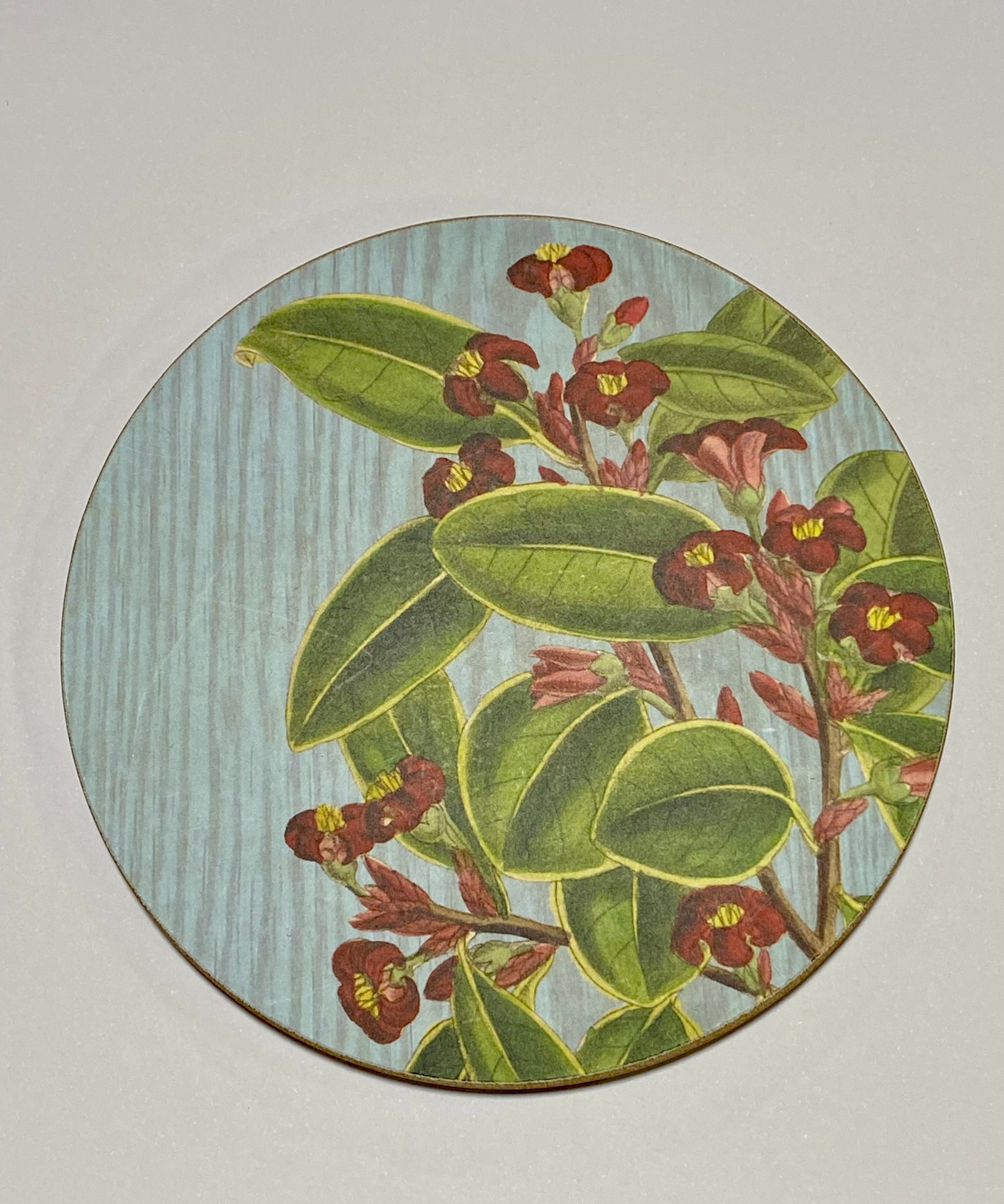 Wolfkamp & Stone Coasters