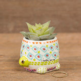 Succulent Critter Turtle
