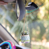 Succulent Critter Hanging Turtle