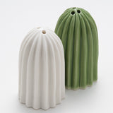 Cactus Salt & Pepper Set