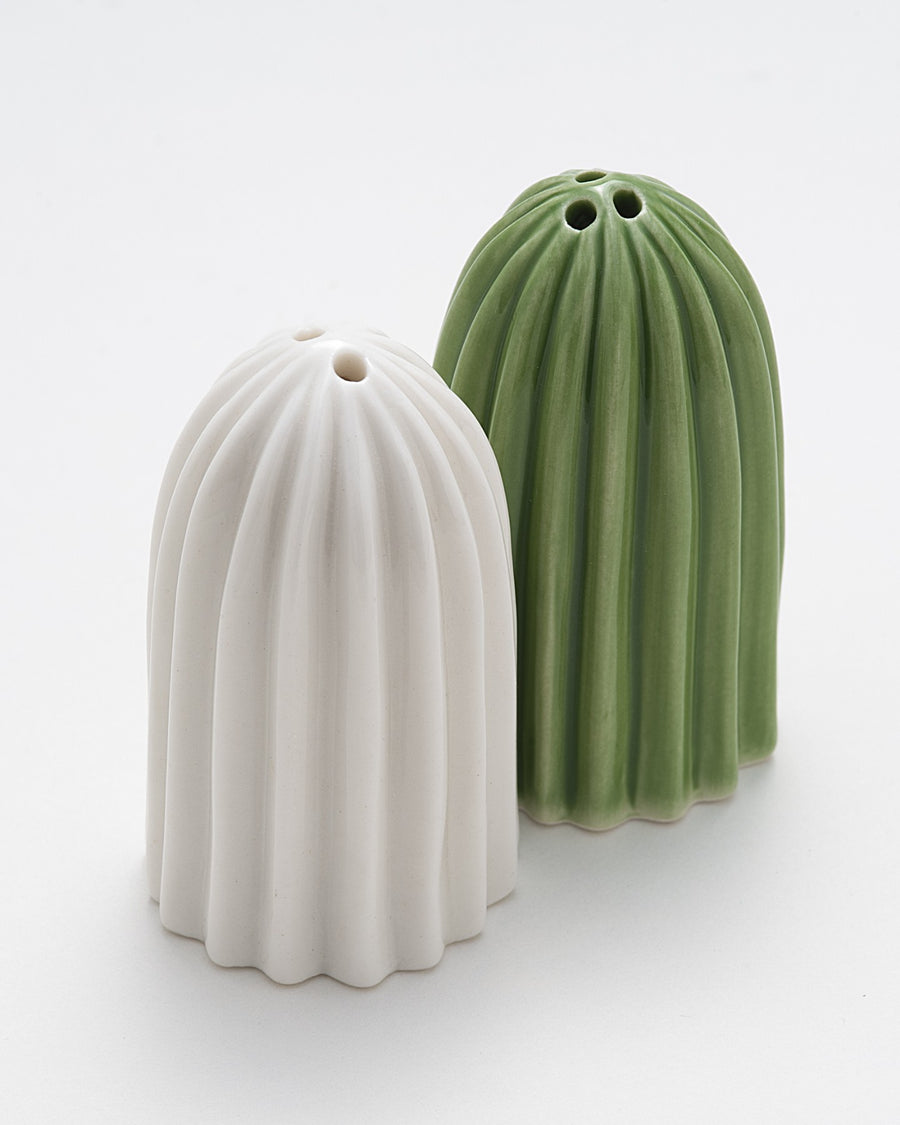 Cactus Salt & Pepper Set