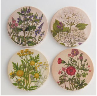 Coasters Medicinal Plants - Set 4