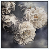 Champagne - Black Box Frame