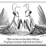 After We have Sex Magnet