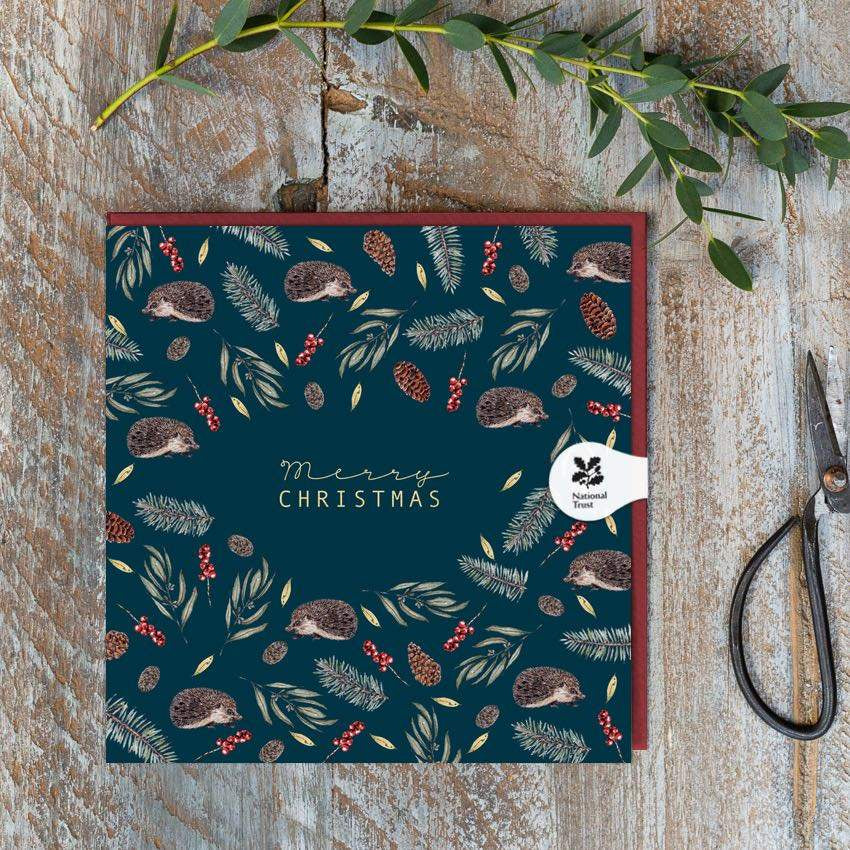 Merry Christmas Hedgehog - Christmas Card