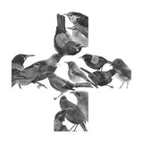 Birds Crossing 2 - Box Frame