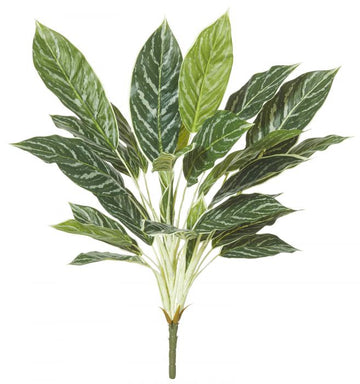 Aglaonema plant / Fake / 74cm