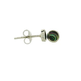 Paua Stud Earring