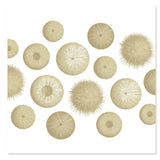 Kina Cotton Napkin