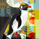 New Zealand Penguin - Black Box Frame