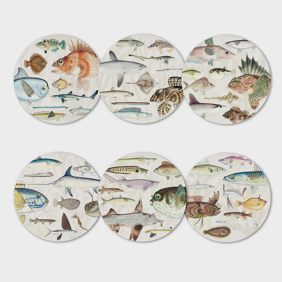 Fishes Of NZ Coaster