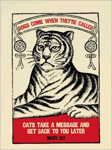 Cats Message Card