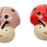 Lady Bug Pot Hanger